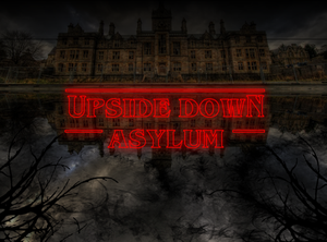 play Upside Down Asylum