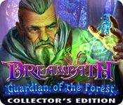 play Dreampath: Guardian Of The Forest Collector'S Edition