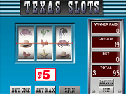 play Texas Slots