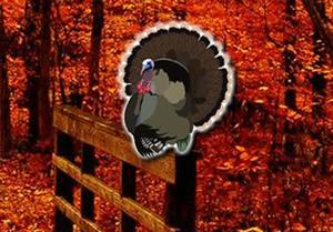 play Forest House Turkey Escape