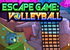 play Escape Game: Volleyball