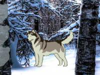 play Save The Sled Dog