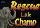 play Rescue Little Champ
