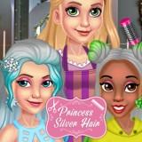 play Princess Silver Hair