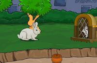 play Cute Bunny Rescue From Cage