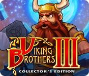 play Viking Brothers 3 Collector'S Edition