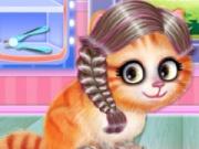 play Kitty Hair Salon