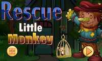 play Nsr Rescue Little Monkey