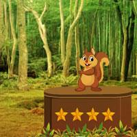 Avmgames Squirrel Forest Escape