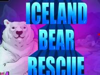 play Iceland Bear Rescue