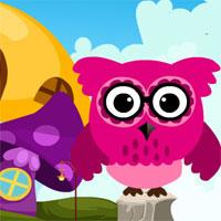 play Pink Owl Rescue 3