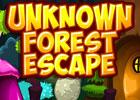 play Unknown Forest Escape