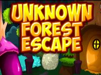 play Unknown Forest Escape