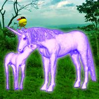 play Unicorn Fantasy Forest Escape