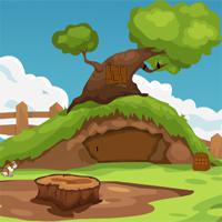 play Knfgame Cave Bear Rescue