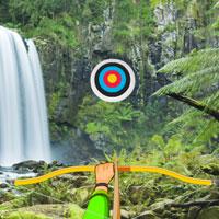 play Hidden-Target-Amazon-Rainforest