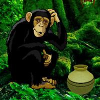 Chimpanzee Tangled Escape