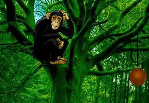 play Chimpanzee Tangled Escape
