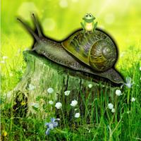 play Snail Forest Escape