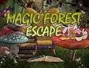 play 365 Magic Forest Escape