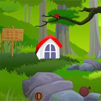 play Zooo-Mountain-River-Escape-Zooogames