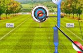 play Archery World Cup