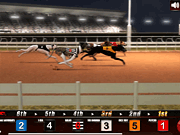 play Greyhound Racing