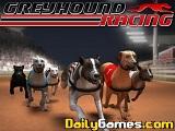 play Greyhound Racing