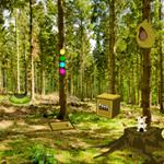 play Wow-Summer-Forest-Escape