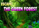 play Escape The Green Forest