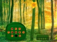 play Sunny Leap Forest Escape