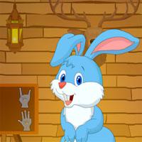play Games4Escape-Blue-Bunny-Escape