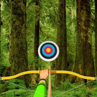 play Wild-Forest-Hidden-Targets