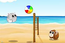 play Beachball Online