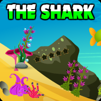 play The Shark Escape