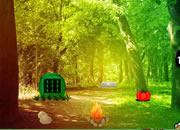 play Cascade Hill Forest Escape