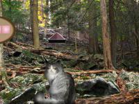 play Norwegian Cat Forest Escape