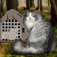 play Norwegian Cat Forest Escape