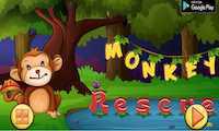 play Nsr Rescue Monkey