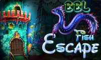 play Nsr Eel Fish Escape