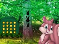 play Funny Bunny Garden Escape