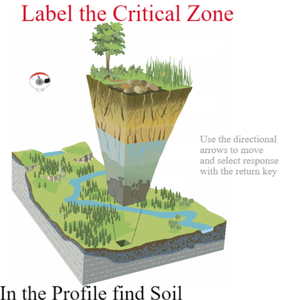 play Critical Zone Game