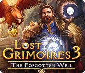 play Lost Grimoires 3: The Forgotten Well
