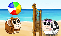 play Beachballonline