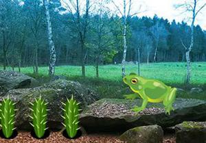 play Escape From Bullfrog Forest