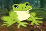 play Escape Game Bullfrog Forest