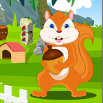 play Starving Squirrel Rescue