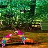 play Games2Rule Scarlet Macaw Forest Escape