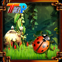 play Top10 Rescue The Lady Bug