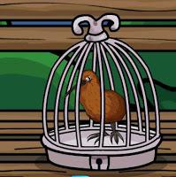 play Kiwi Bird Rescue